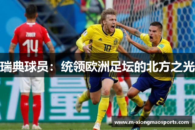 瑞典球员：统领欧洲足坛的北方之光