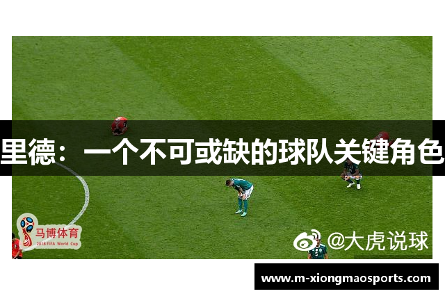 里德：一个不可或缺的球队关键角色