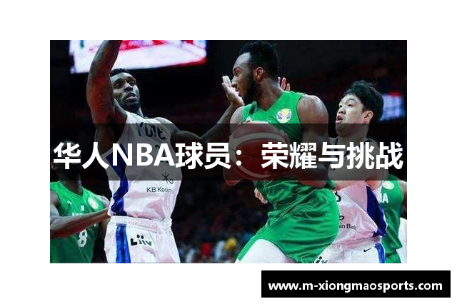 华人NBA球员：荣耀与挑战