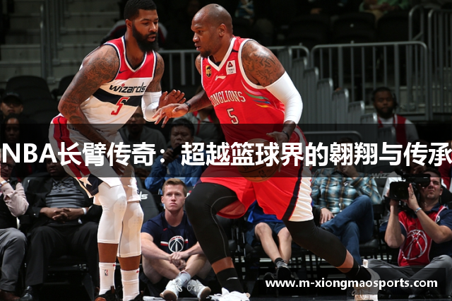 NBA长臂传奇：超越篮球界的翱翔与传承