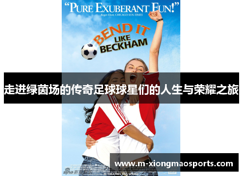 走进绿茵场的传奇足球球星们的人生与荣耀之旅