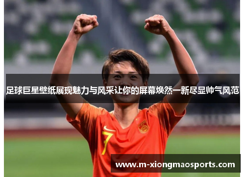 足球巨星壁纸展现魅力与风采让你的屏幕焕然一新尽显帅气风范