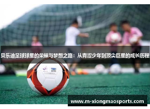 贝乐迪足球球星的荣耀与梦想之路：从青涩少年到顶尖巨星的成长历程