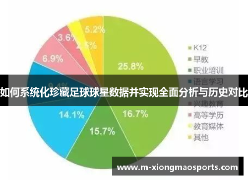 如何系统化珍藏足球球星数据并实现全面分析与历史对比